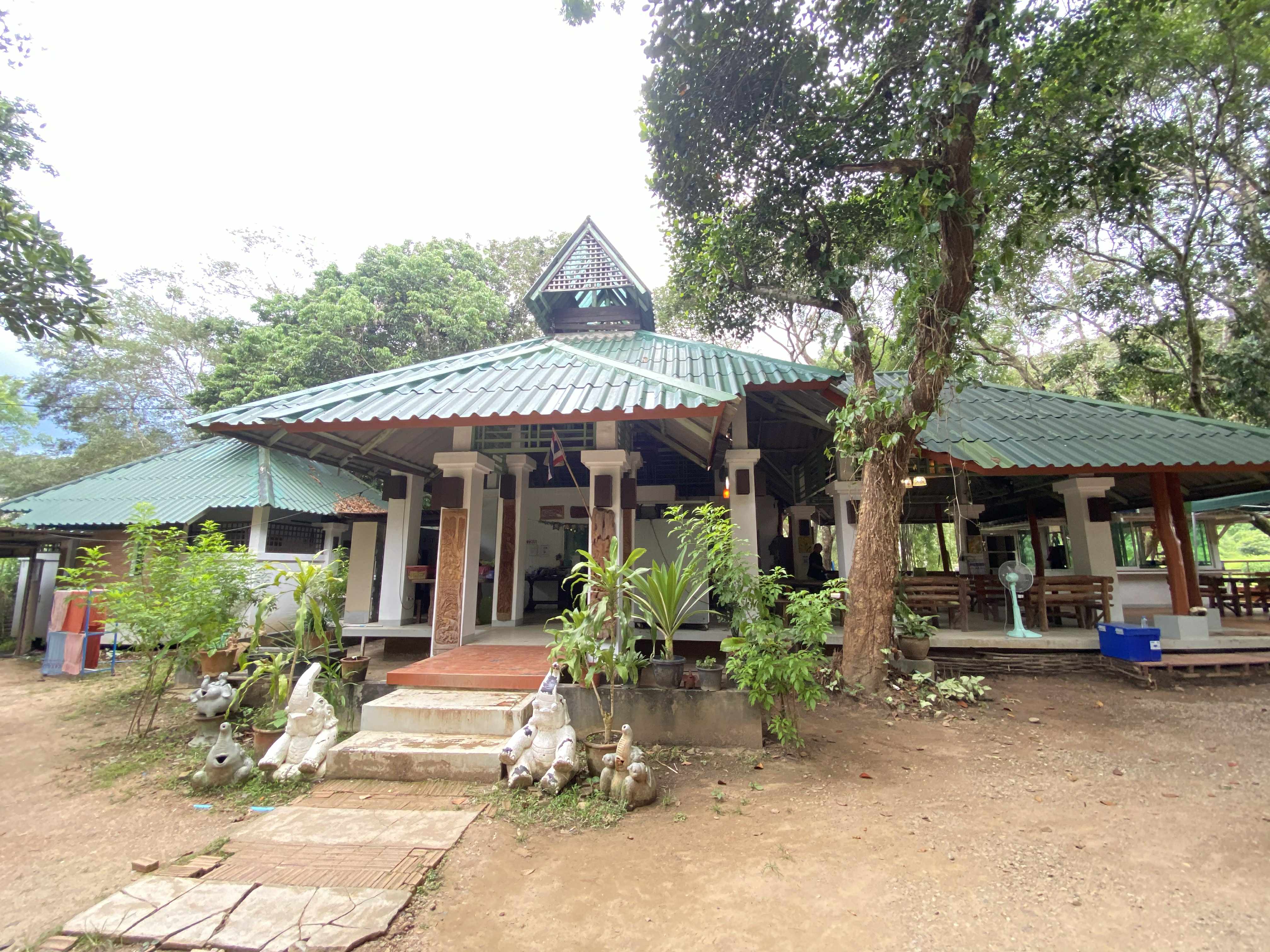 บรรยากาศดูช้าง ดูดอย